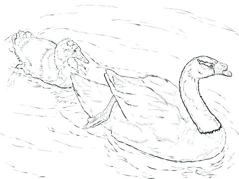 Computer Lab Coloring Pages