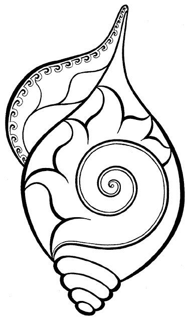 373x642 Conch Shells Coloring Mandalas Celtic Art Mandala