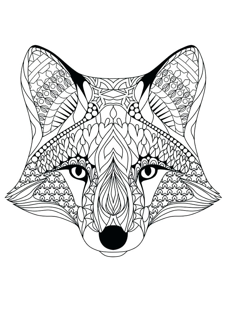 736x1040 General Lee Coloring Pages A Conch Clam And Scallop Seashell