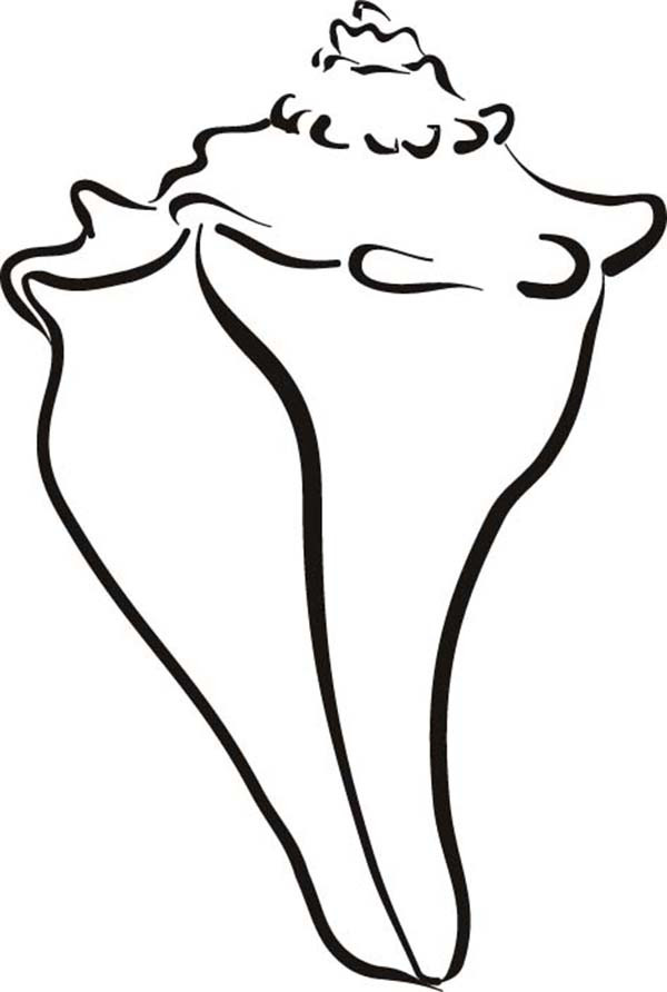 600x892 Seashell Coloring Page Unique Plex Coloring Pages
