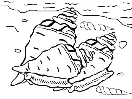 440x330 Best The Sea Coloring Pages Of Seashells Seashells Home