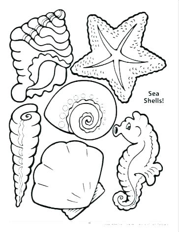 Conch Shell Coloring Page
