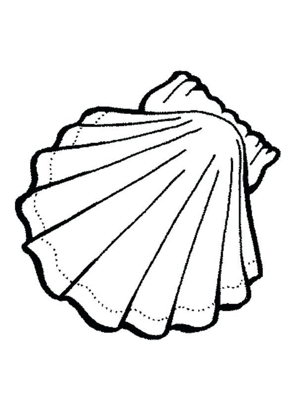 600x849 Sea Shell Coloring Page Exquisite Calico Scallop Seashell Coloring