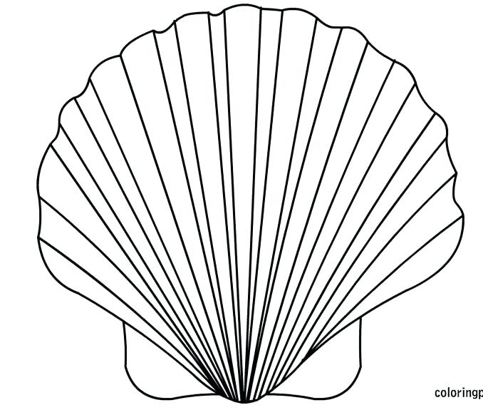 678x575 Sea Shell Coloring Page Sea Shell Coloring Page Fighting Conch