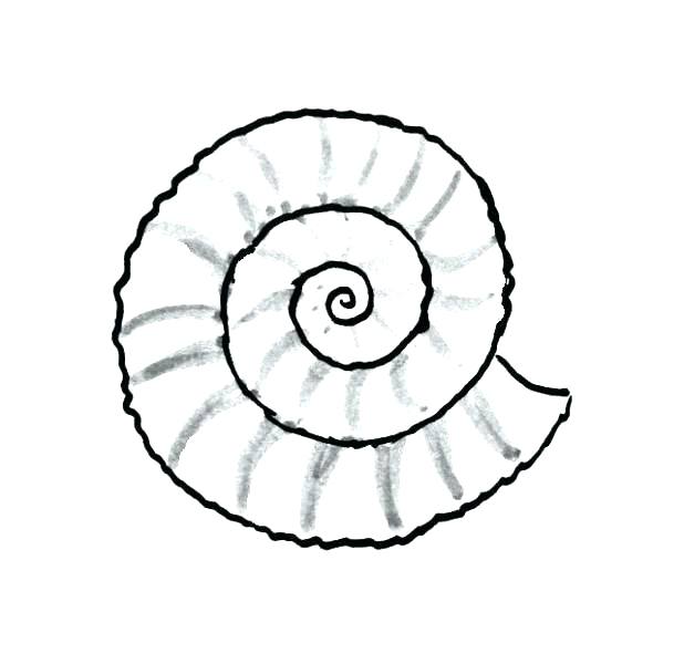618x600 Seashell Coloring Pages Top Seashell Coloring Pages Print Sea