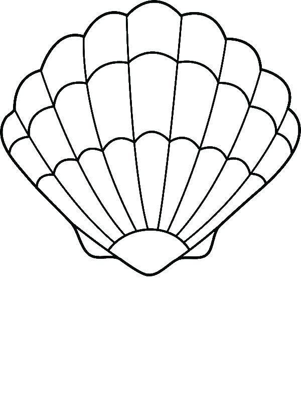 600x800 Seashells Coloring Page Seashells Coloring Page Sea Shell Coloring