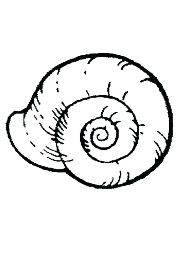600x850 Shell Coloring Pages Sea Shell Coloring Pages Turtle Shell