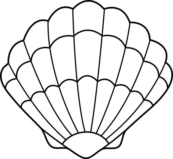 600x550 Sea Shell Coloring Page A Lovely Zigzag Scallop Seashell Drawing