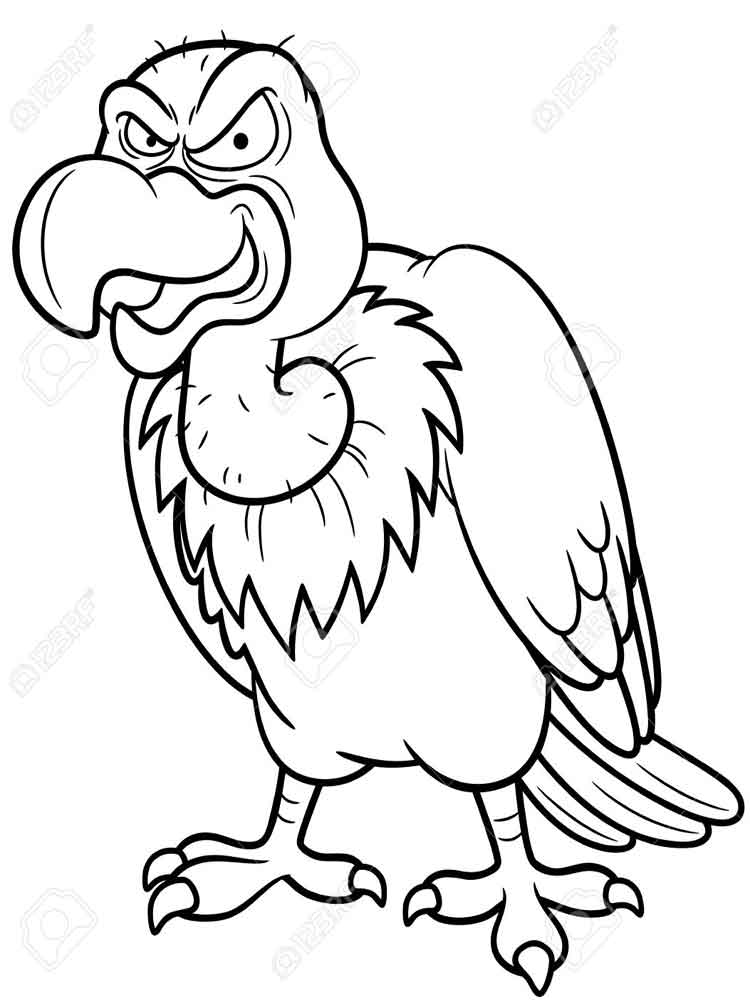 750x1000 Condor Coloring Pages. Download And Print Condor Coloring Pages