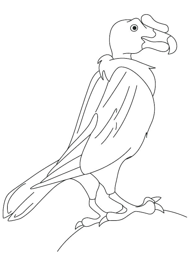 613x860 Vulture Coloring Pages Hooded Vulture Coloring Page Vulture