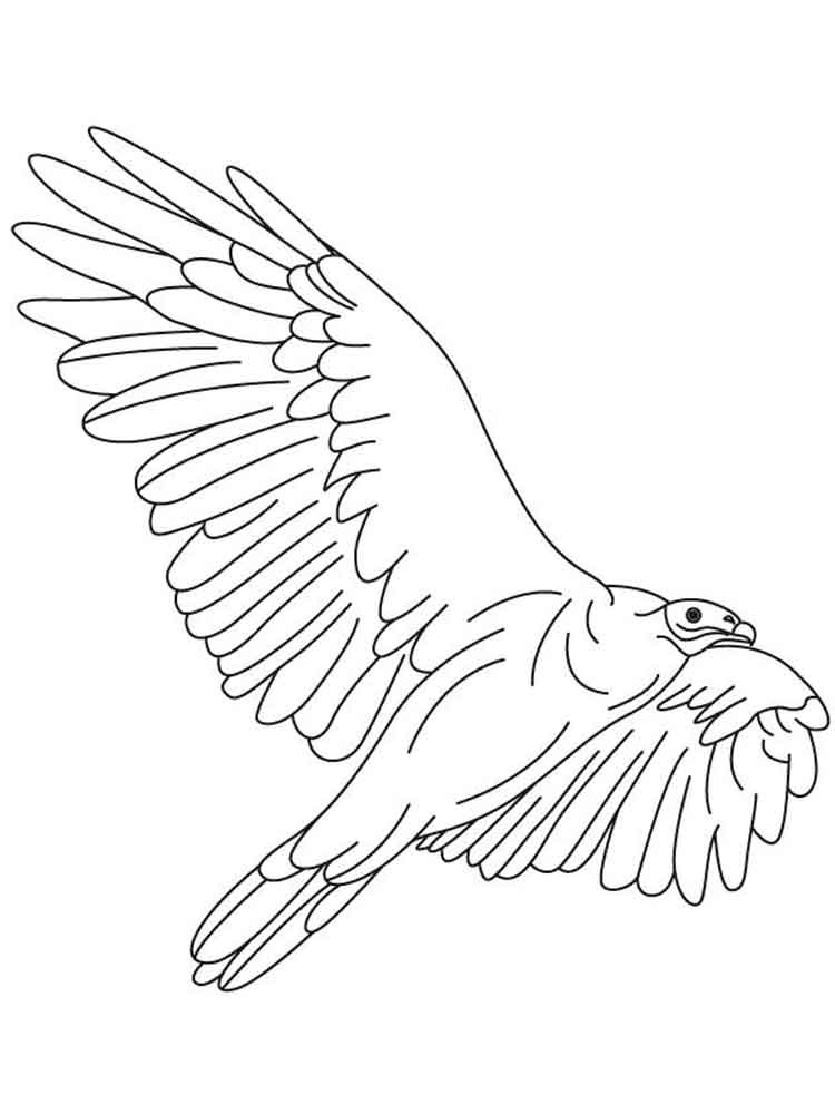 750x1000 Vulture Coloring Pages. Download And Print Vulture Coloring Pages