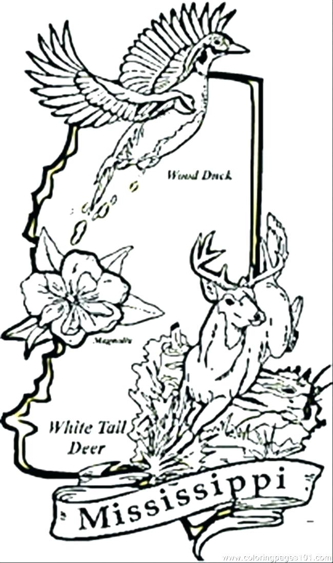 650x1099 Uss Constitution Coloring Page Vanda