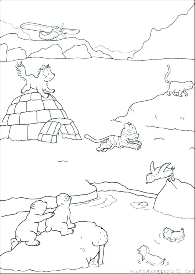 650x912 Continent Coloring Pages Animals Colouring Pages Continent