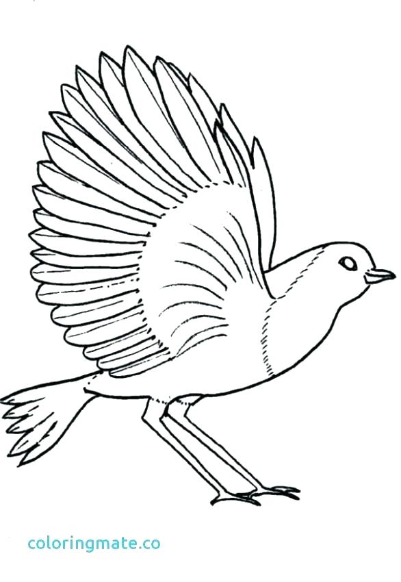 586x850 Convert Pictures To Coloring Pages Turn Picture Into Coloring Page