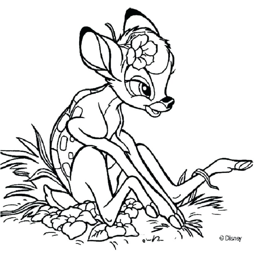 850x828 Photo Coloring Page Winter Coat Native Free Picture Frame Coloring