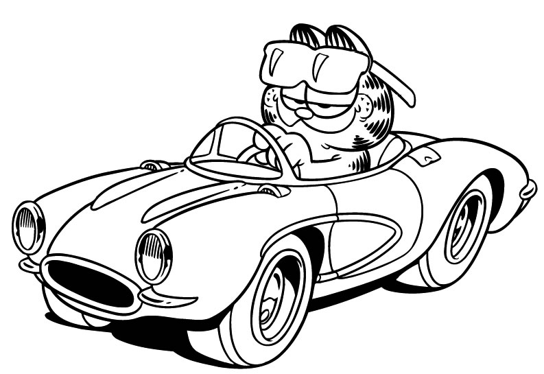 793x545 Garfield For Kids