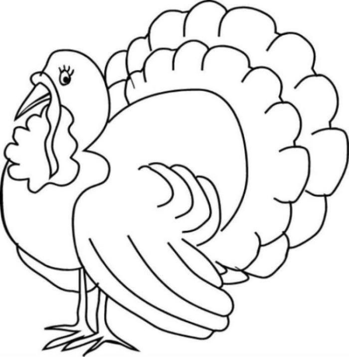 700x717 Turkey Color Page Awesome Free Coloring Pages Of Turkey Color By