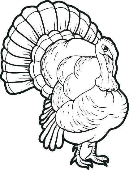 417x550 Turkey Coloring Sheets To Print Turkey Coloring Pages Free
