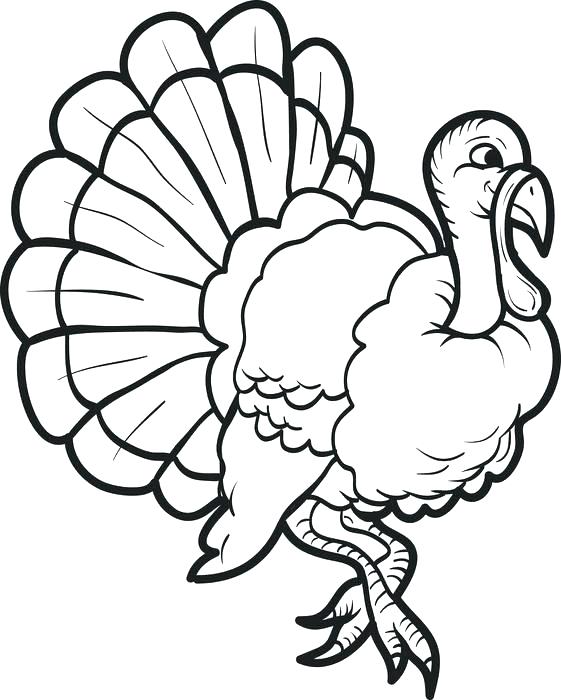 561x700 Coloring Page Turkey Free Printable Thanksgiving Turkey Coloring