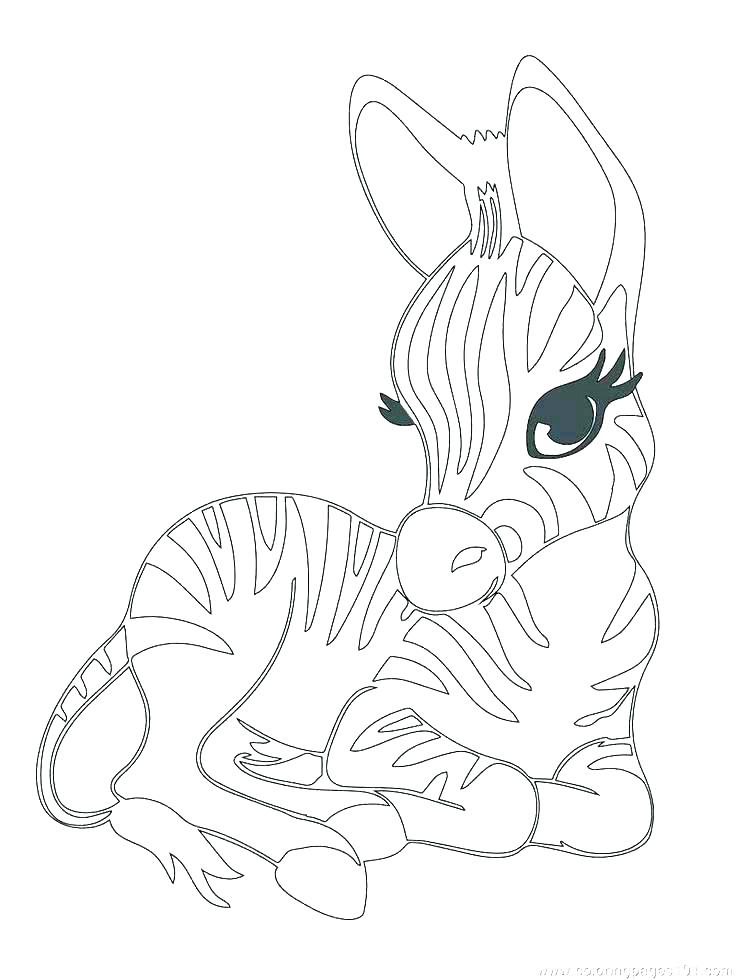 736x980 Animal Coloring Pages National Geographic Realistic Animal