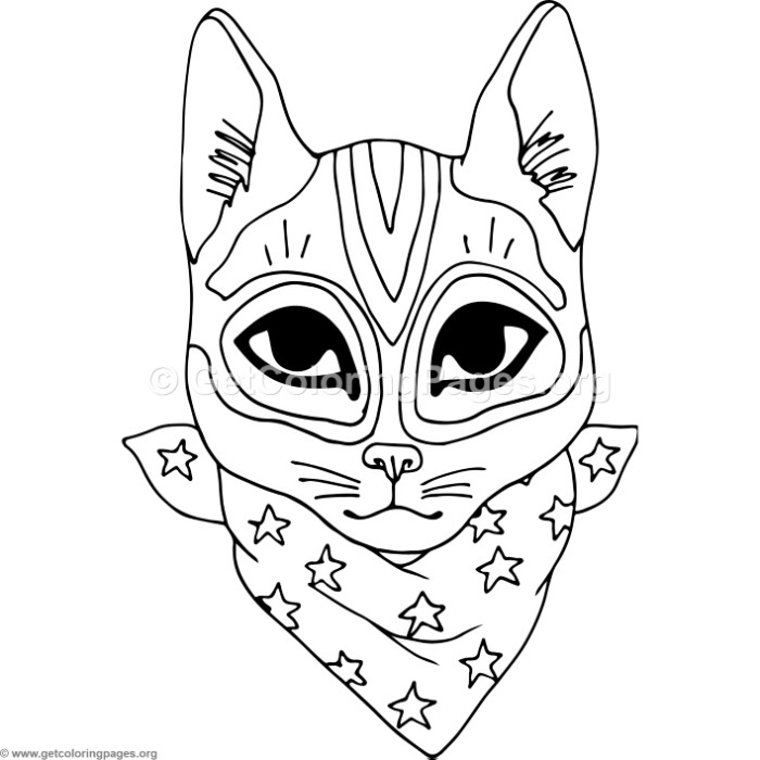 700x700 Western Cool Cat Coloring Pages