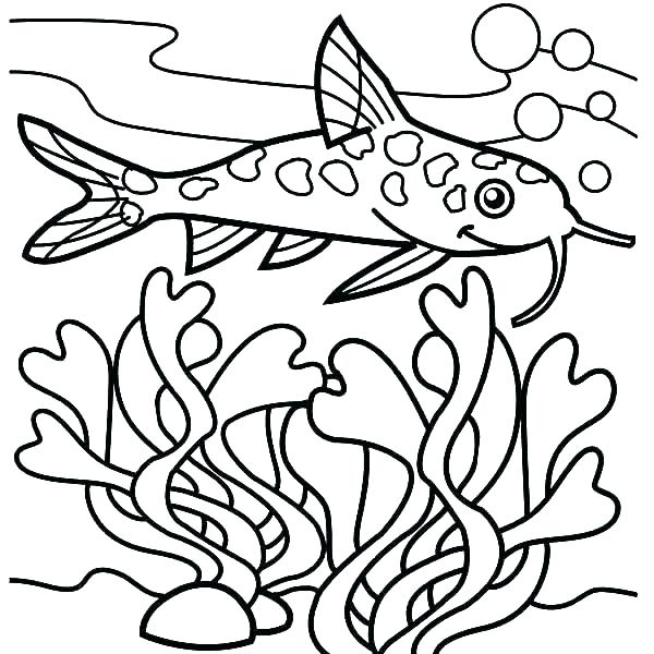 600x600 Cool Christmas Coloring Pages Shippa.co