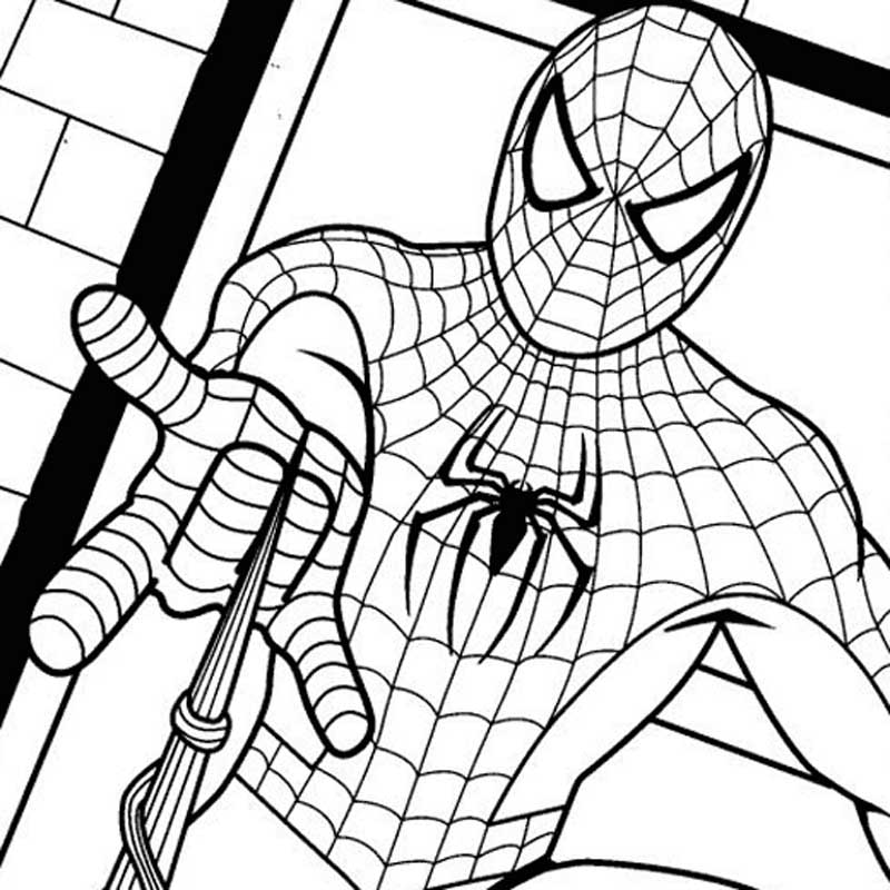 800x800 Spiderman Coloring Pages Kids Free Coloring Pages Super Heroes