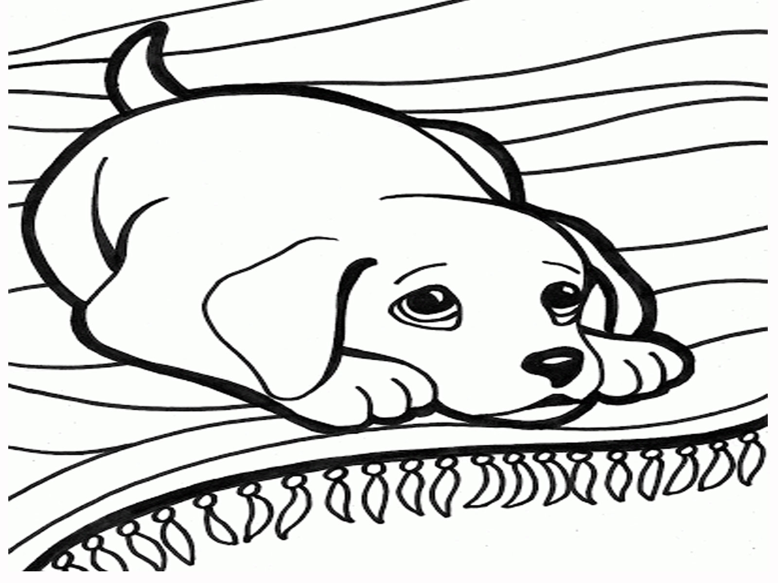 1600x1200 Coloring Pages Dogs And Cats Best Dog Cat Gambarmewarnai To Print