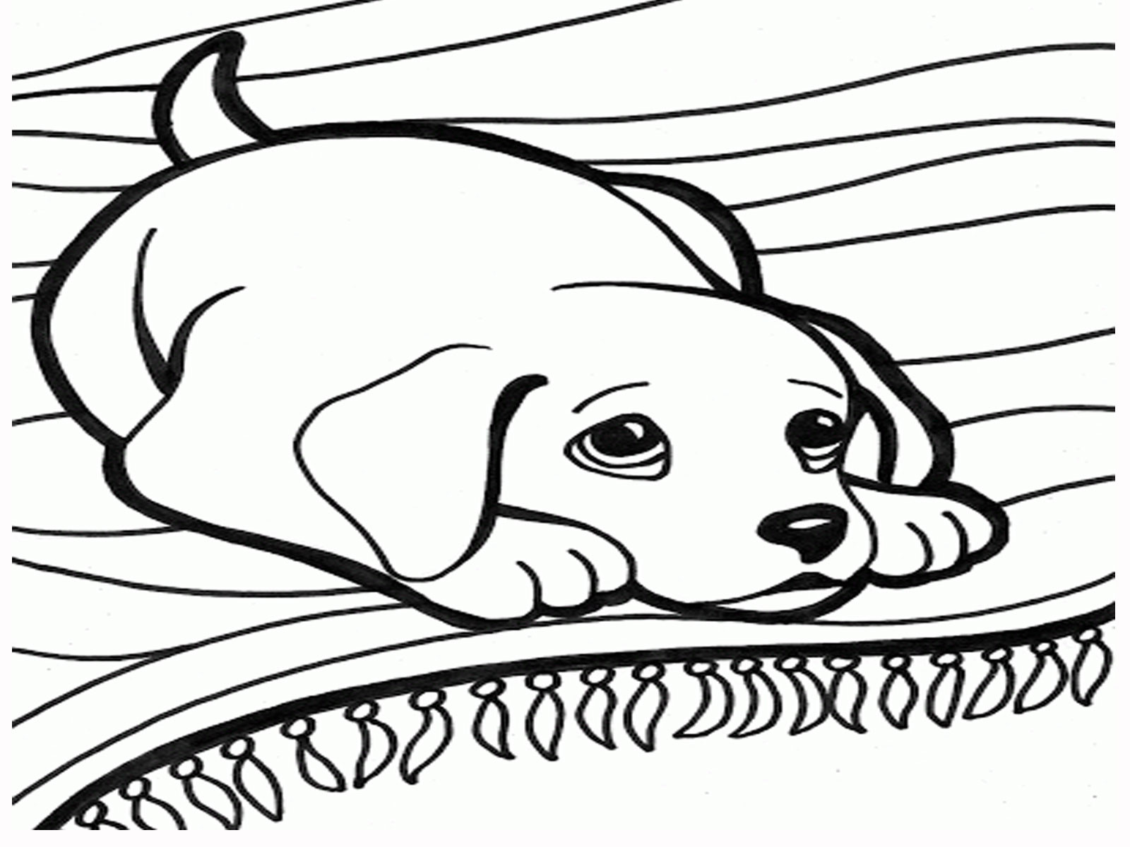 1600x1200 Boxer Puppy Coloring Pages Awesome Coloring Pages A Dog Best