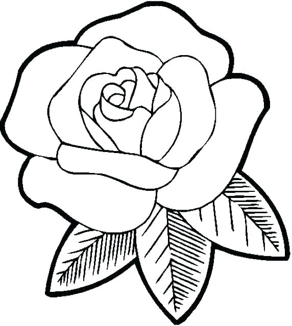 572x639 Cool Flower Coloring Pages Easy Coloring Pages Of Flowers Cool