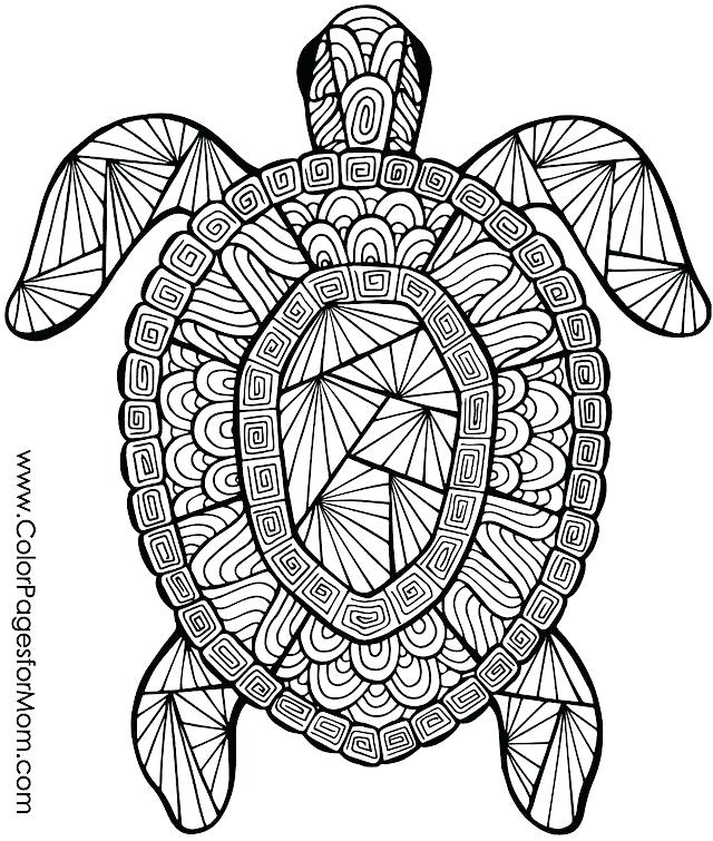 640x755 Animal Design Coloring Pages Sumptuous Design Coloring Pages