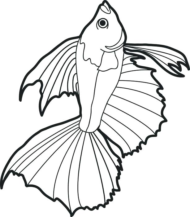 614x700 Fishing Coloring Pages Fishing Coloring Pages Printable Realistic