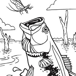 250x250 Top 92 Fishing Coloring Pages
