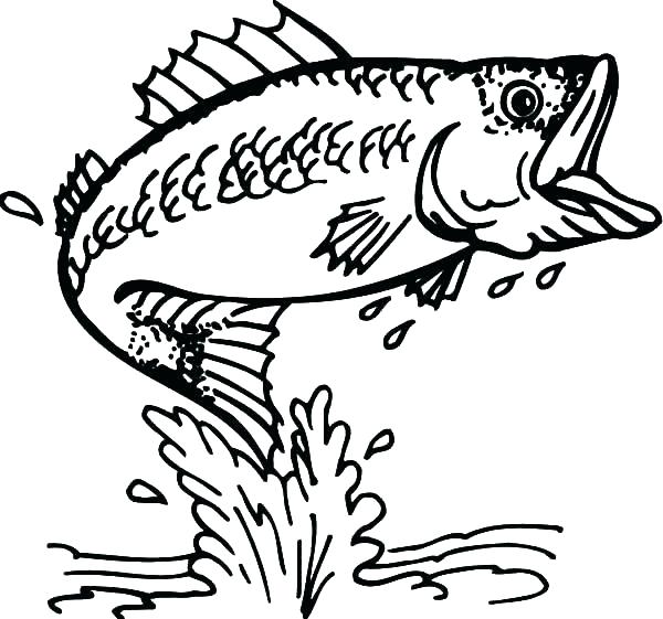 600x561 Fish Color Page Fishing Coloring Page Color Pages Fish Marvelous