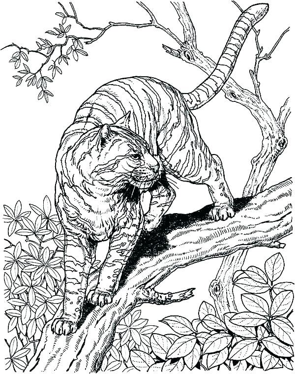 600x760 Hard Coloring Books