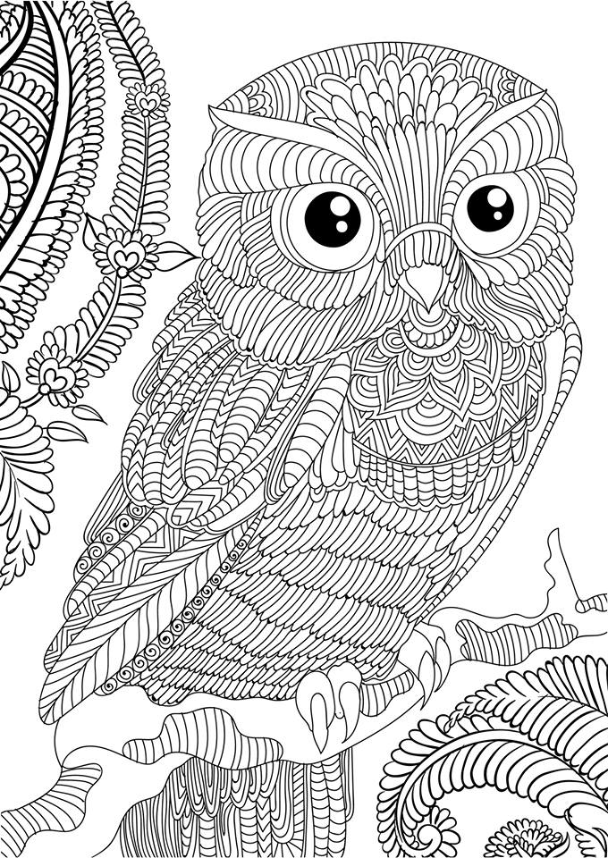 680x960 Adult Coloring Books And Free Inside Pages Of Owls For Adults Plan