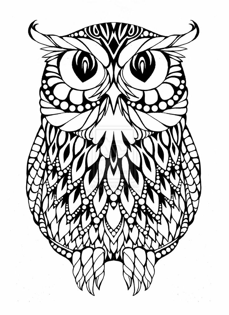 736x1013 First Rate Coloring Page Owl 17 Best Ideas About Colorful Owl 2017