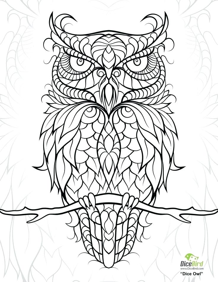 736x952 Owl Coloring Pages For Adults