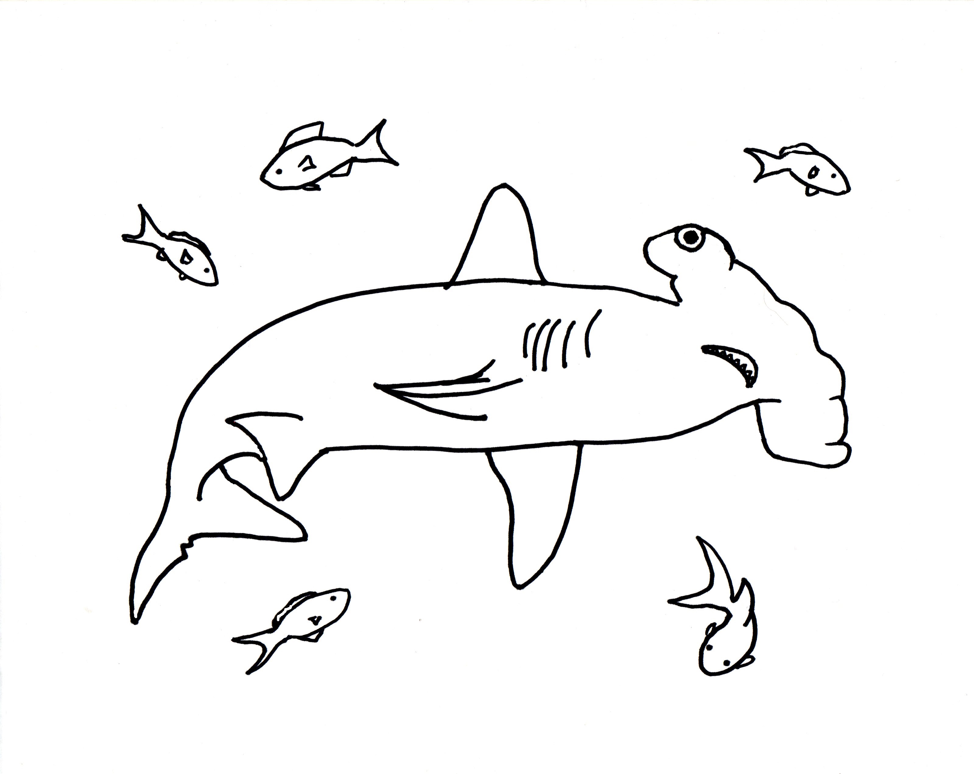 3199x2545 Hammerhead Shark Coloring Page