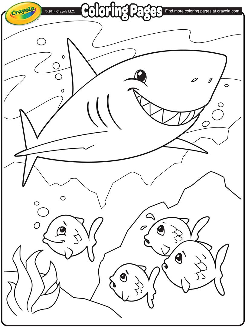 810x1080 Shark Coloring Page