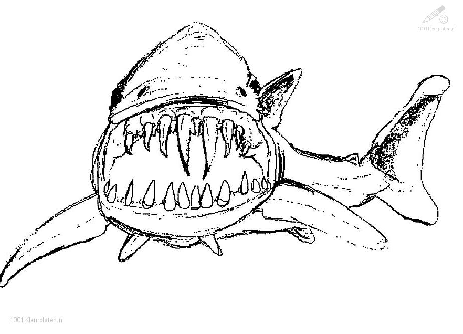 924x668 Shark Coloring Pages To Download And Print For Free