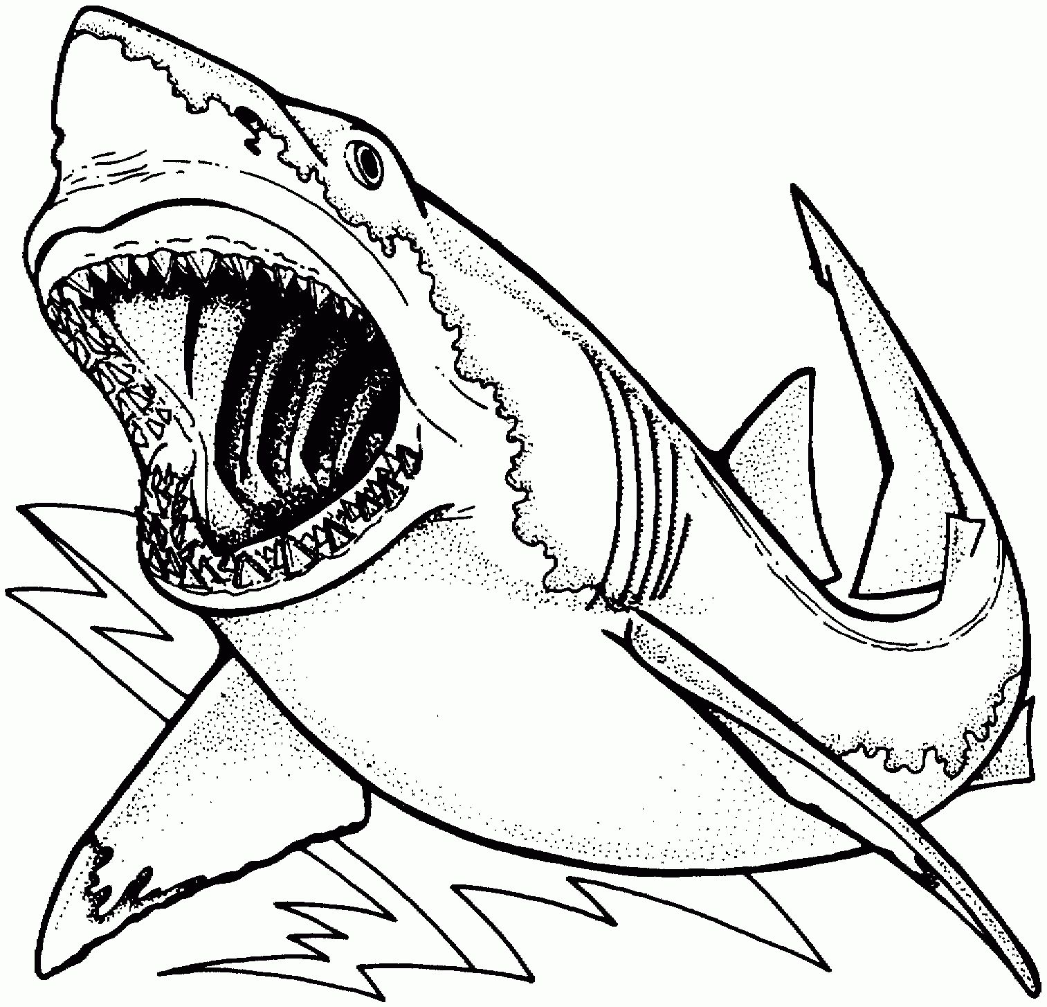 1513x1454 Unique Whale Shark Coloring Page Cool Ideas For You 7088