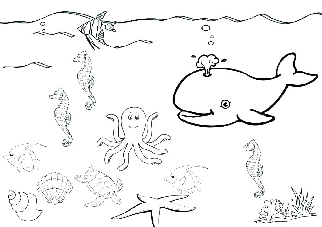 1024x723 Star Trek Coloring Pages Star Coloring Pages Printable Star