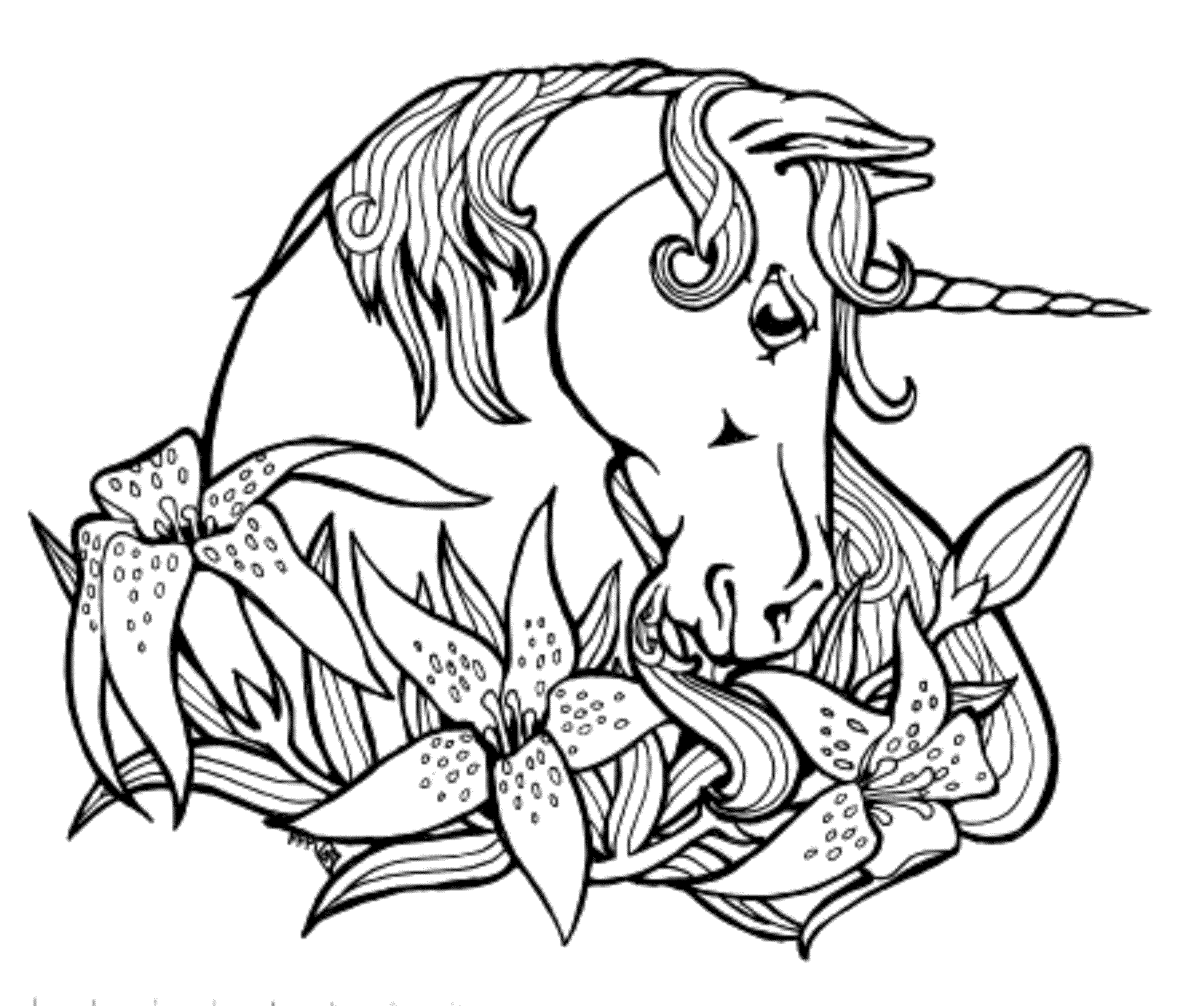 2551x2132 Top Unicorns To Color Cool Home Design Gallery Ideas 424 Free