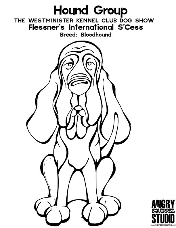 612x792 31 Bloodhound Coloring Pages, 92 Best Images About Coloring Pages