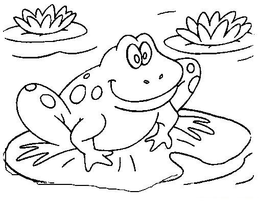507x408 Free Printable Frog Coloring Pages