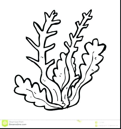 468x500 Coral Coloring Pages Coloring Page Coral Reef Coloring Pages Coral