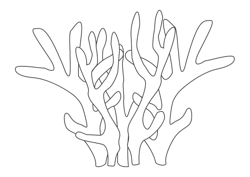 875x620 Coral Reef Coloring Pages Coral Coloring Pages Elegant Coral Reef