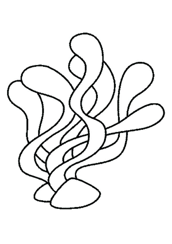 600x849 Seaweed Coloring Pages Seaweeds Coloring Page Seaweed And Coral