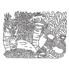 230x230 Top 10 Coral Coloring Pages For Toddler Coral Reef Biome